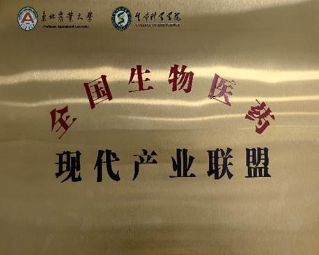 日程表描述已自动生成 日程表描述已自动生成