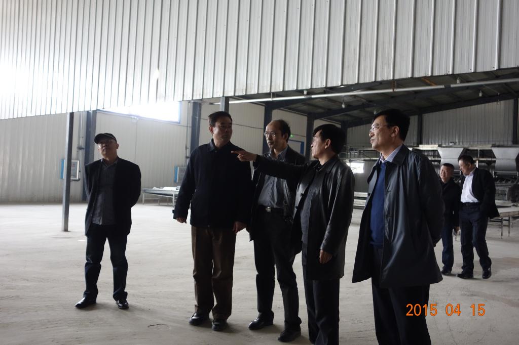 我校一行参观百姓集团甜玉米加工车间